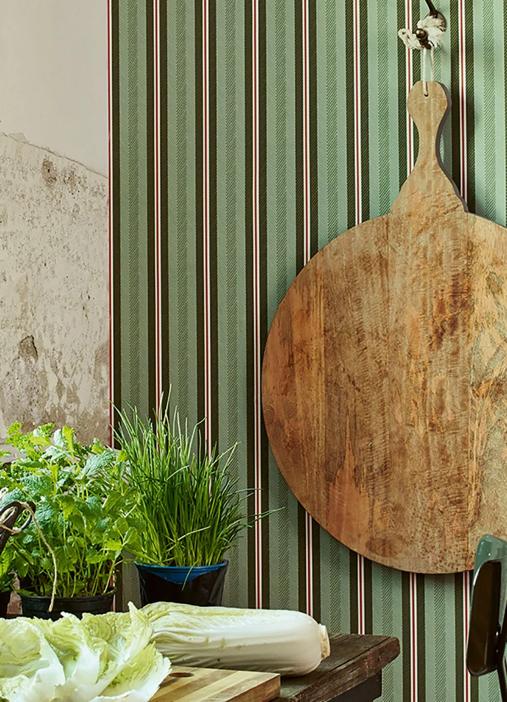 Tapete Stellar Grüntöne 1 Tapete Stellar Grüntöne