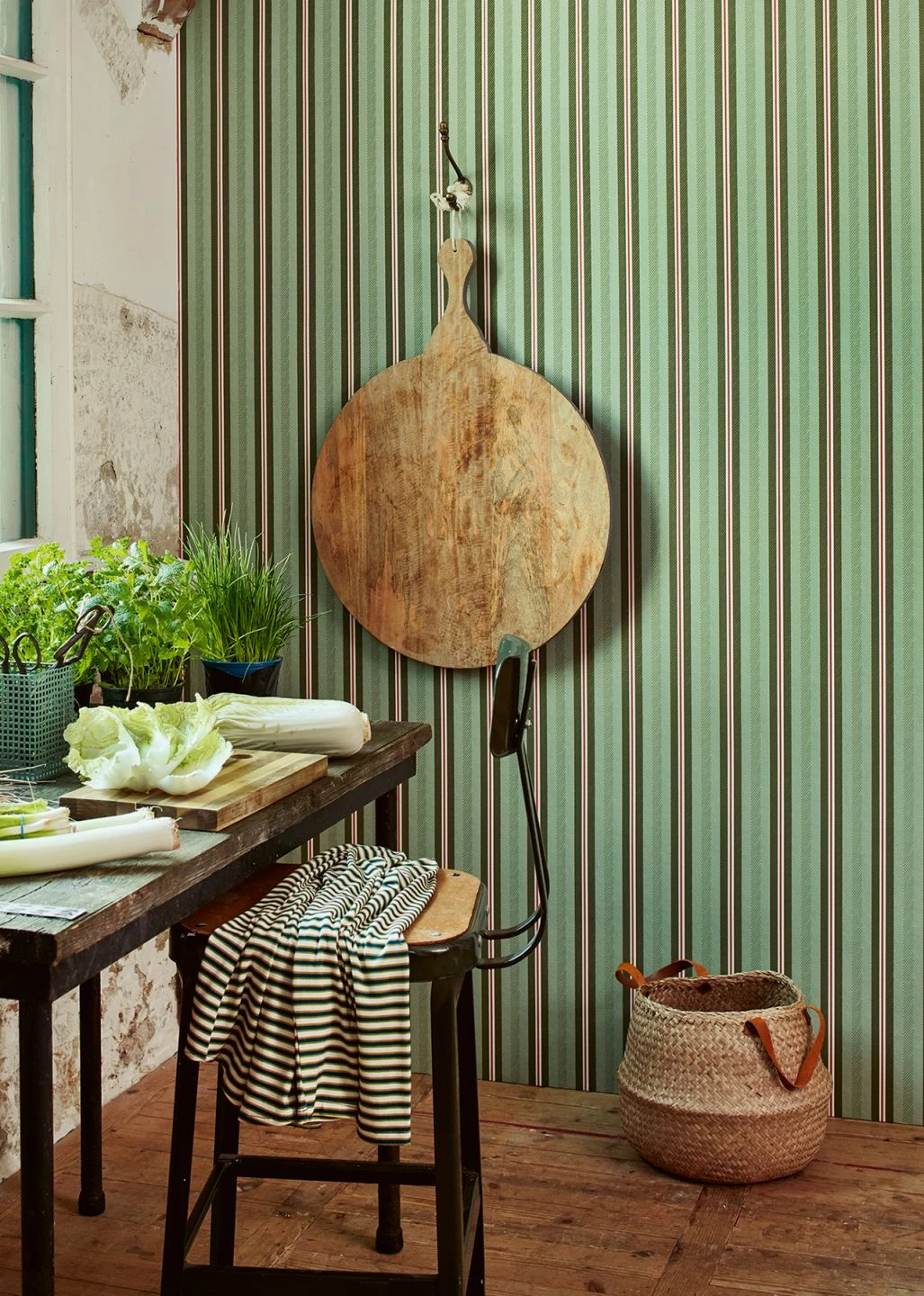 Tapete Stellar Grüntöne 3 Tapete Stellar Grüntöne – Bild 3