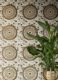 Versace Tapete Venus Brauntöne -Tapetengeschäft Venus C 411013 2880x1440