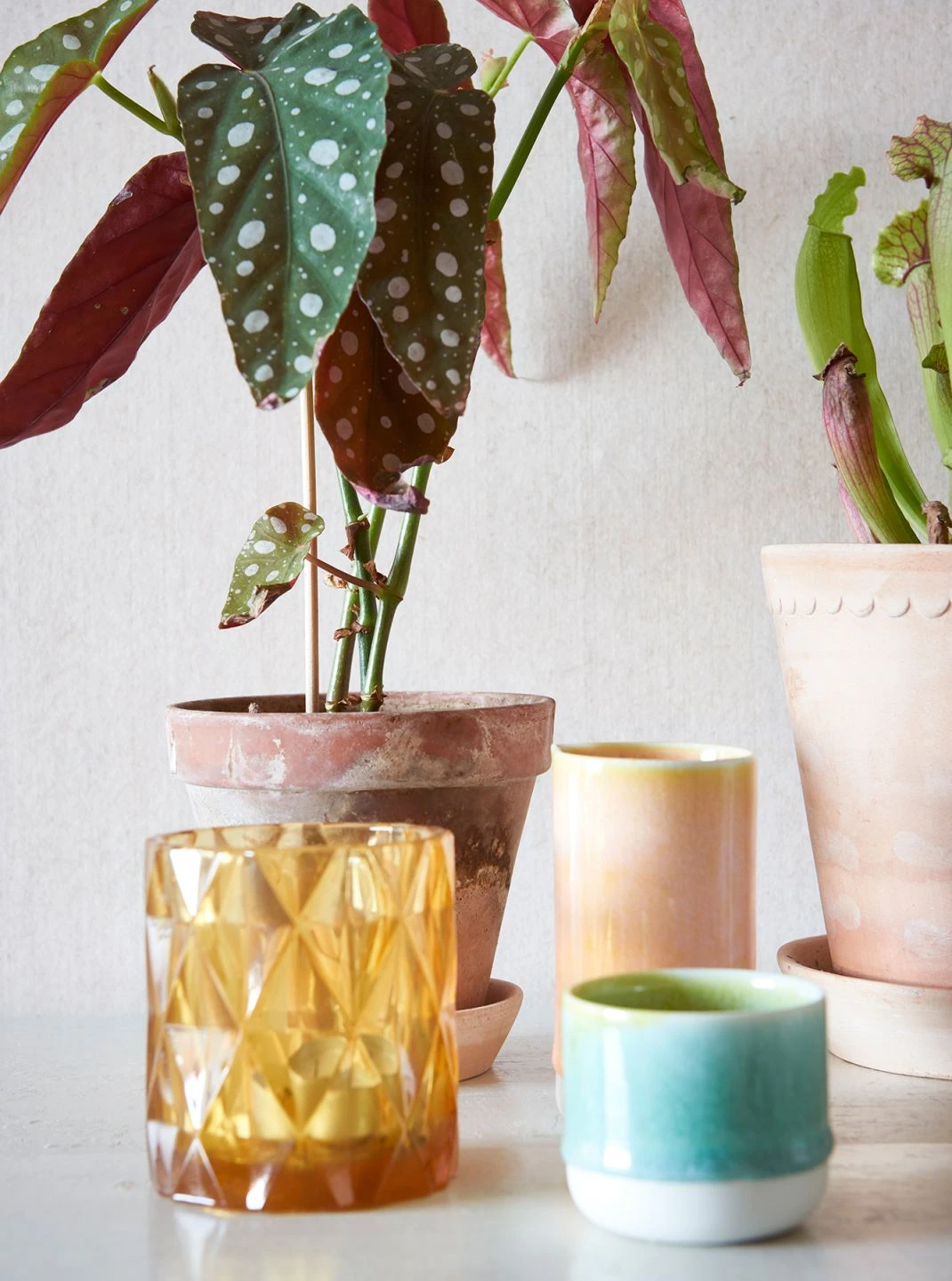 Tapete Veruso Lino Creme 8 Tapete Veruso Lino Creme – Bild 8