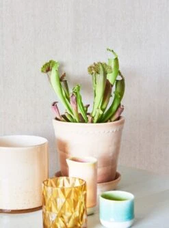 Tapete Veruso Lino Creme 13 Tapete Veruso Lino Creme -Tapetengeschäft Veruso Lino J 950011 2880x1440