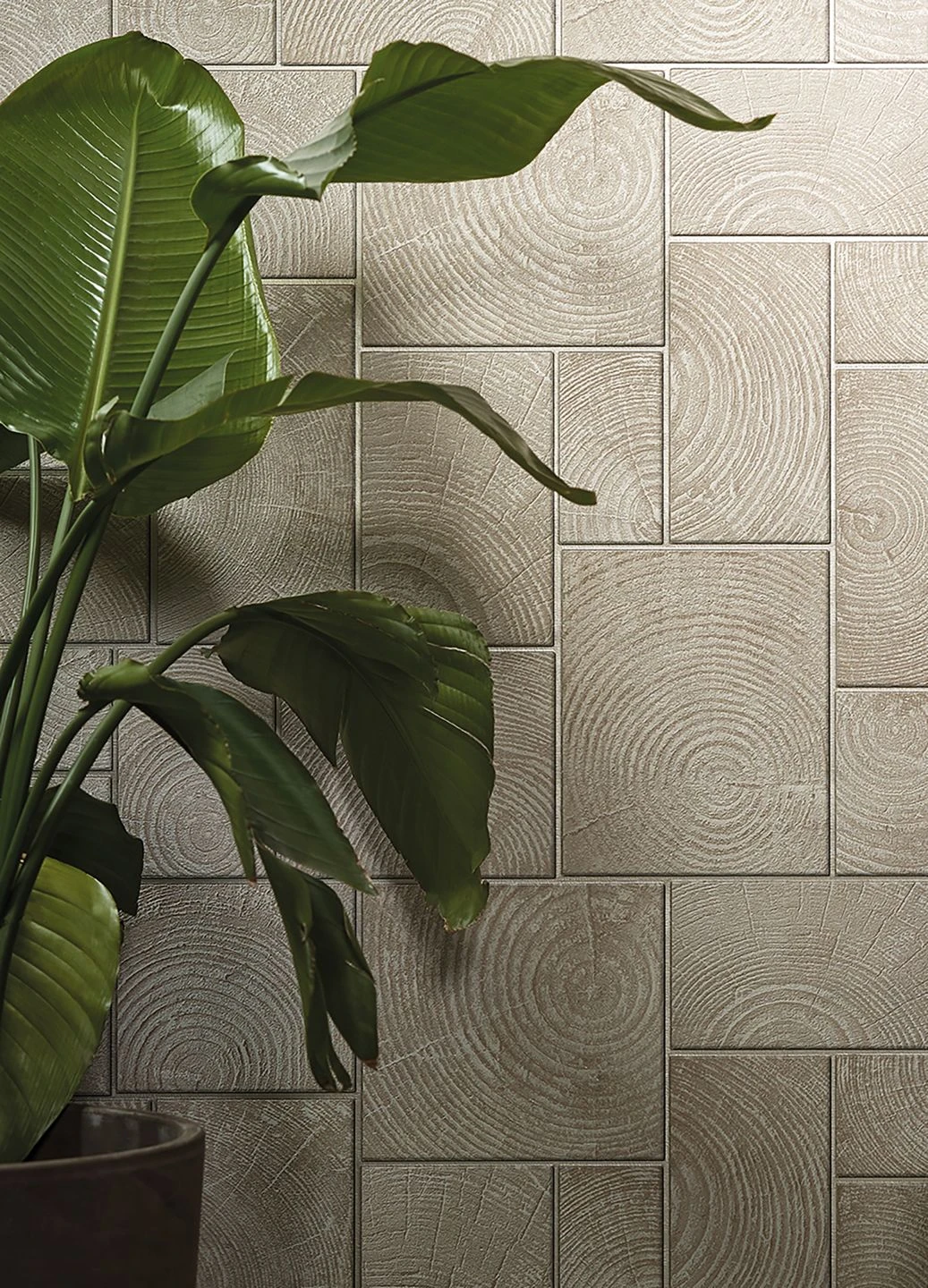 Tapete Wood Deluxe Beige 1 Tapete Wood Deluxe Beige